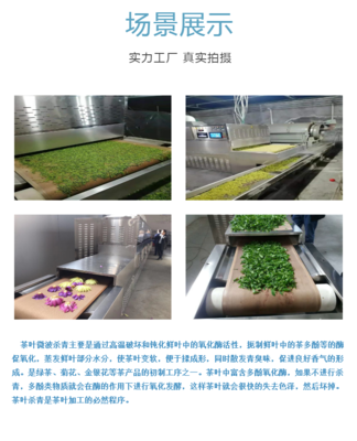 微波烘干技術(shù)賦能花卉產(chǎn)業(yè) 高效殺青與廣泛應(yīng)用的干燥新方案